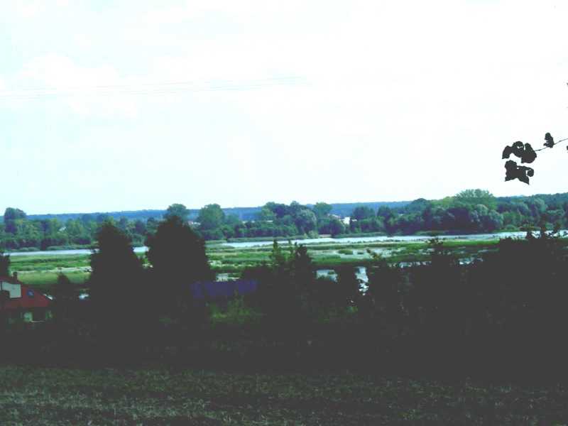 Polish countryside